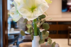 Restaurant Saladina